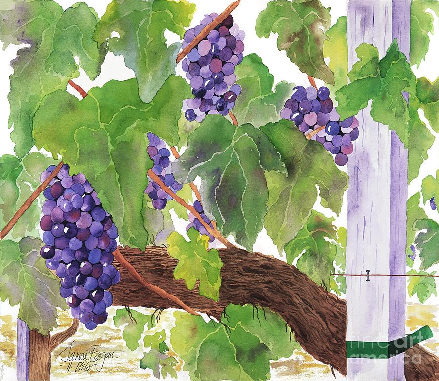 Napa Painting by Janice Culver Fine Art America