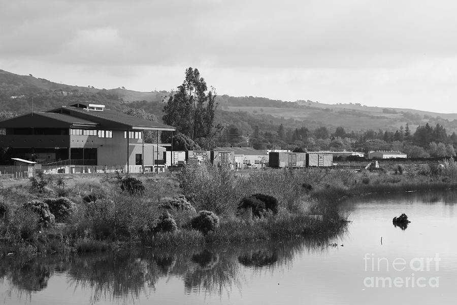 Napa River in Napa California Wine Country . Black and White Photograph by Wingsdomain Art and Photography