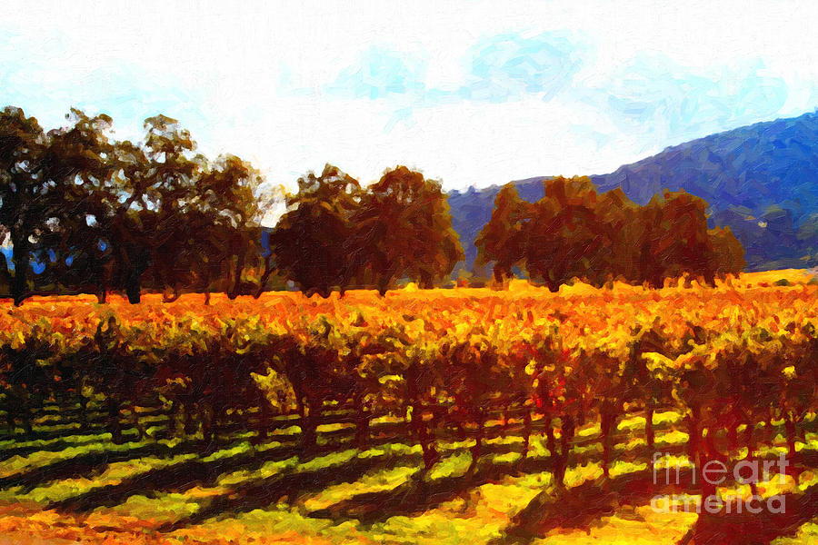 Landscape Photograph - Napa Valley Vineyard in Autumn Colors 2 by Wingsdomain Art and Photography