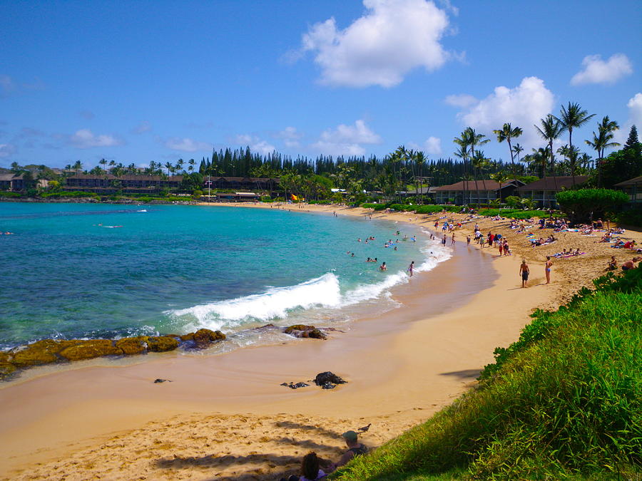 Napili Bay Photograph by Denise Viesta