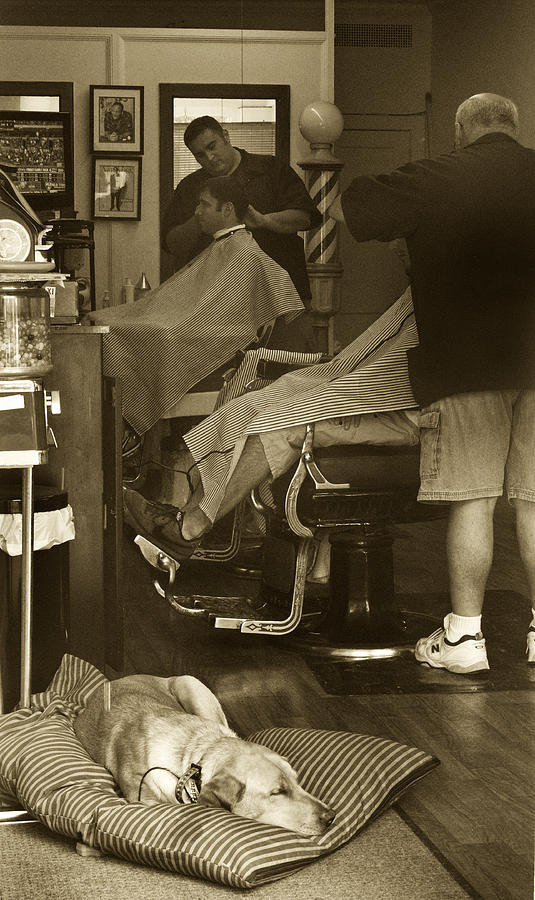 Napping at the Barbershop Photograph by Steve Gravano