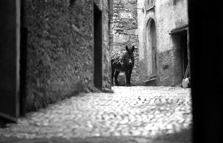 Narrow street in Orvieto Italy Photograph by Emanuel Tanjala
