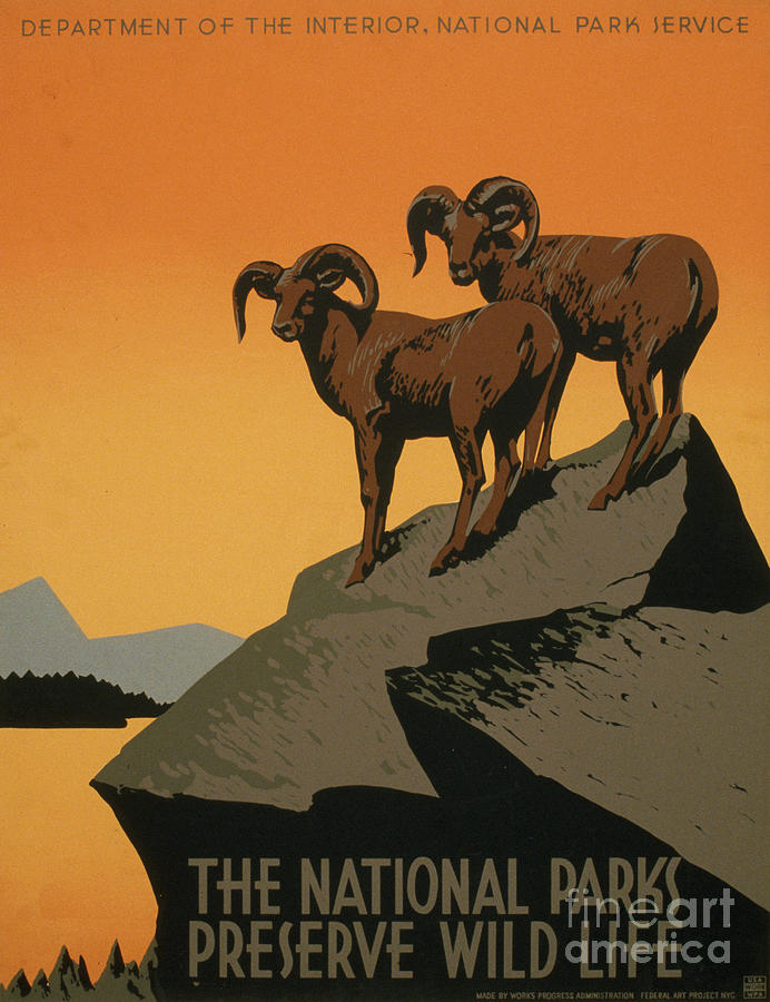 NATIONAL PARK POSTER, c1937 Photograph by Granger