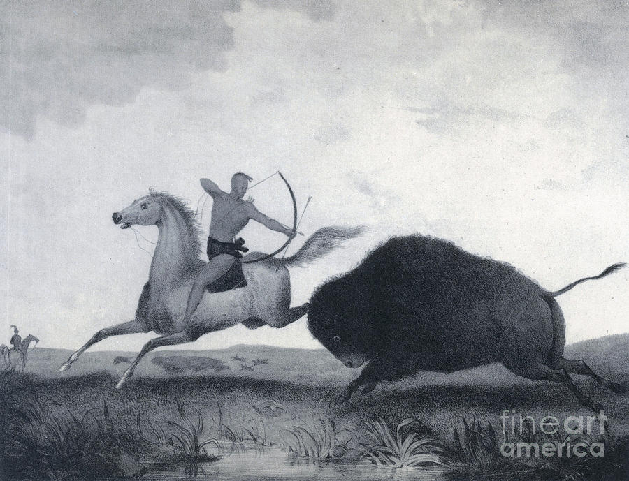History Photograph - Native American Indian Buffalo Hunting by Photo Researchers