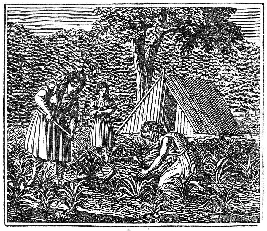 native american farming