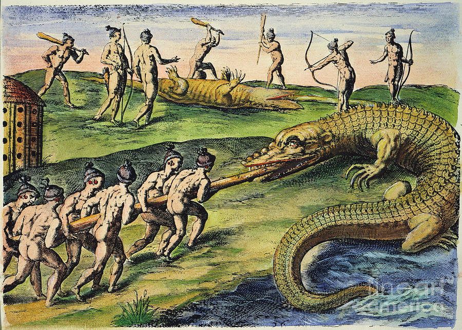 Native Americans - Crocodiles, 1591 Drawing