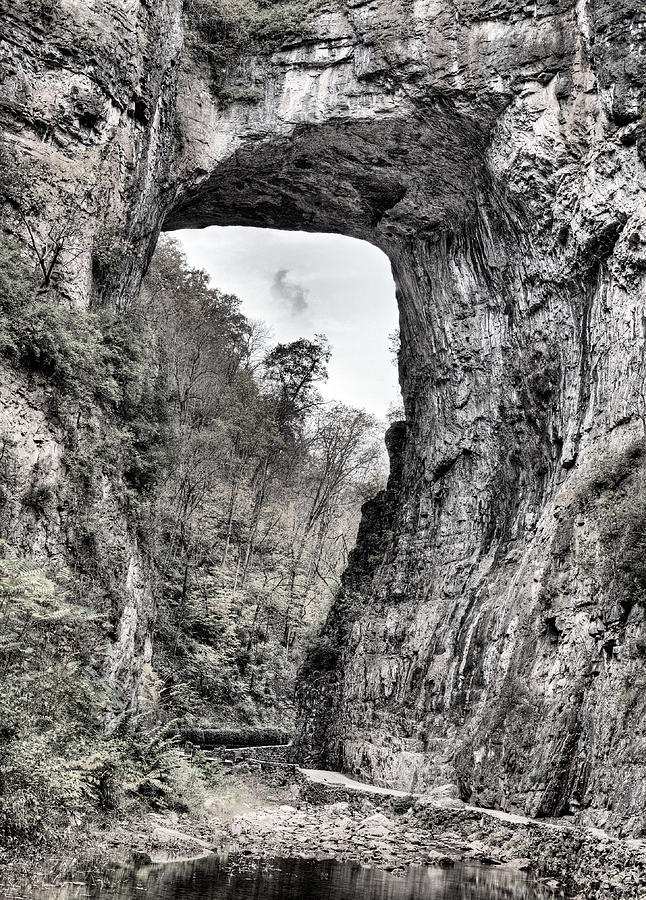Natural Bridge Virginia BW Photograph by JC Findley