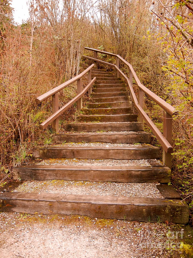 Natural Sepia Stairway Photograph by KD Johnson