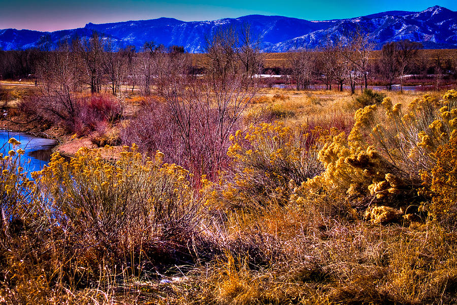 Nature at its best in South Platte Park Photograph by David Patterson