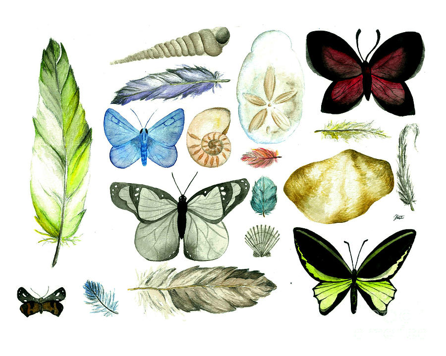 Butterfly Painting - Nature Collection by Kristen Fernandez
