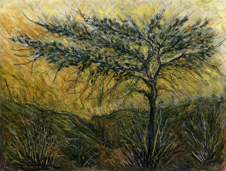 Nature landscape green thorns Acacia tree flowers sunset in yellow clouds sky  Painting by Rachel Hershkovitz