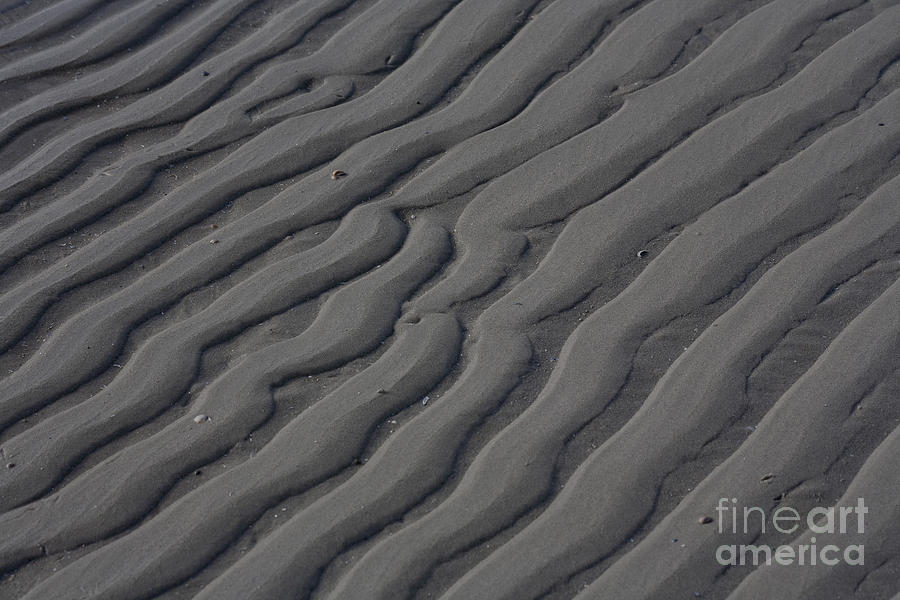 Nature Patterns Series - 65 Photograph by Heiko Koehrer-Wagner
