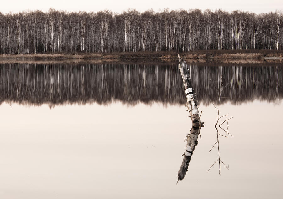 Nature Reflection Photograph by Gouzel -