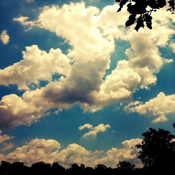 Nature Photograph - #nature #trees #clouds #sky #ohio by Jami Tammerine