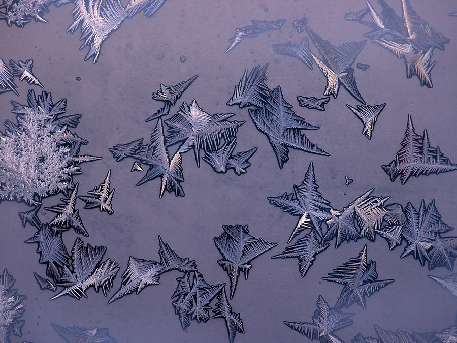 Natures Frost Art Photograph by DeeLon Merritt