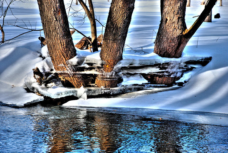NATURES ICY ABSTRACT No.2 Photograph by Janice Adomeit