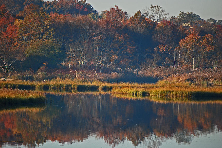 Fall Photograph - Natures Reflection by Michelle Cruz