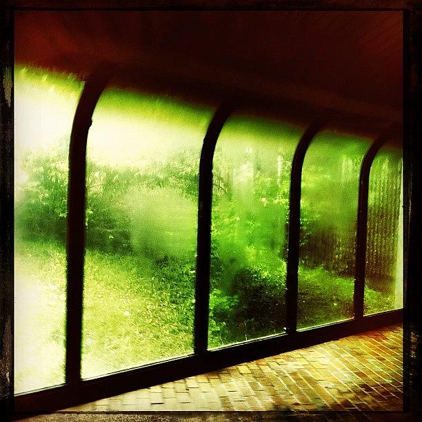Metro Photograph - #naturetakingover #hipstamatic by Nicolas Marois