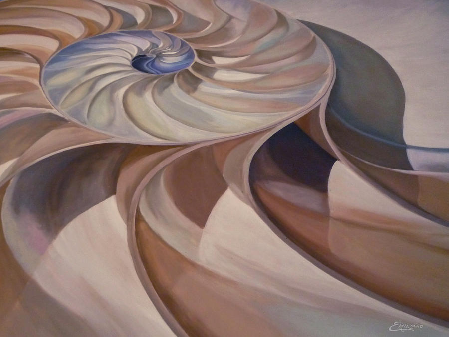 Nautilus 2 Painting by Emiliano Campobello - Fine Art America