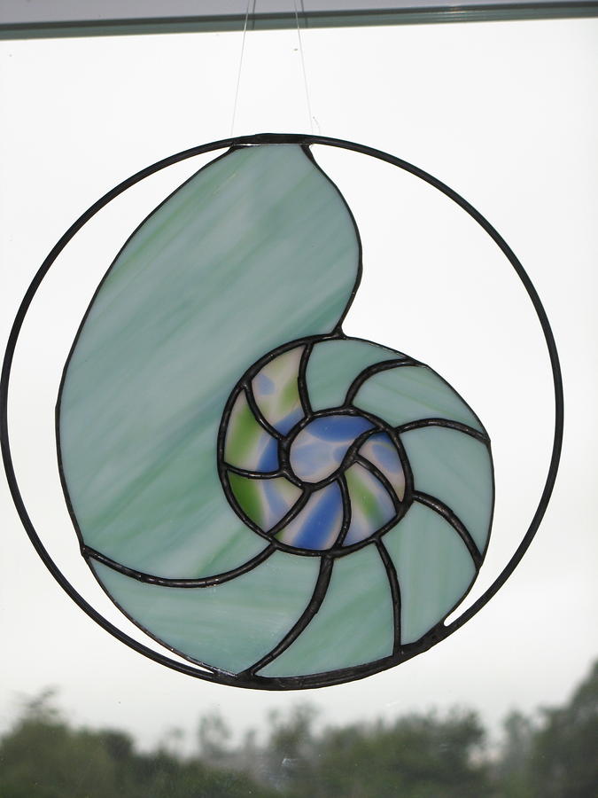 Shell Glass Art - Nautilus Shell by Shelly Reid