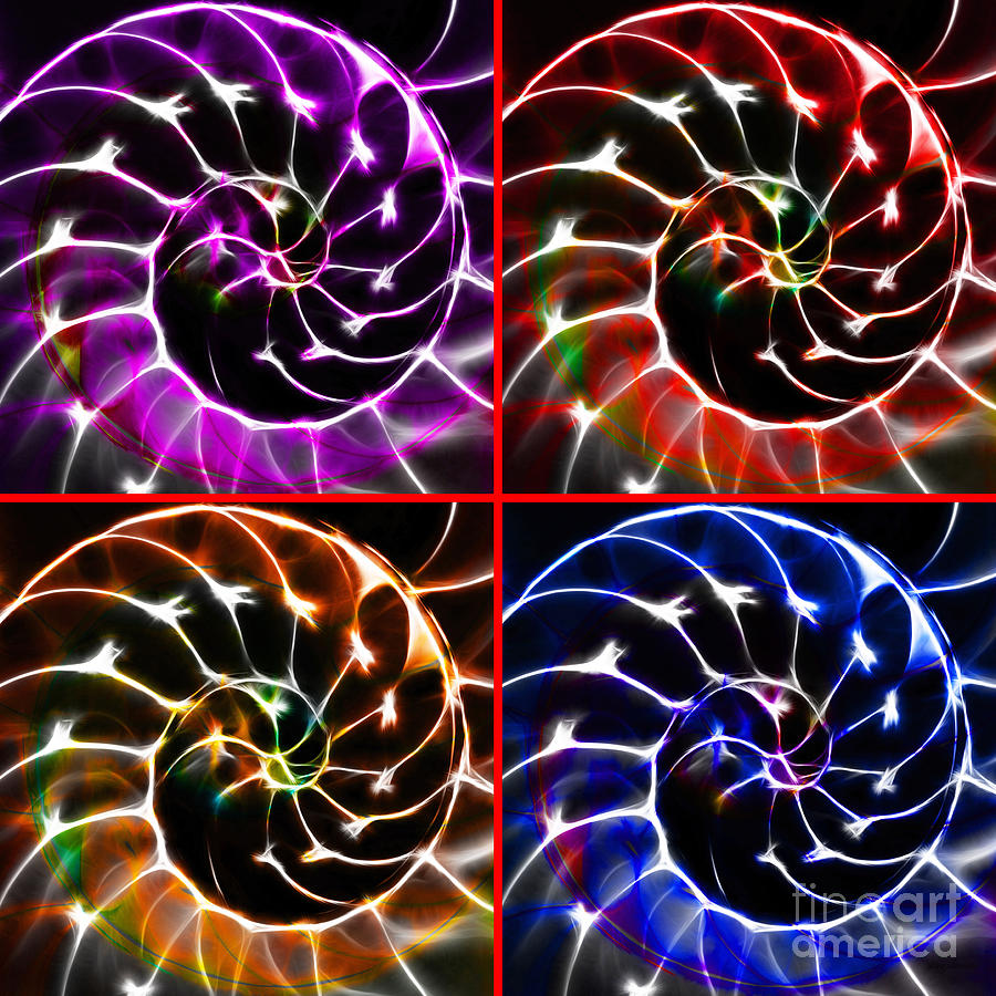 Fish Photograph - Nautilus Shell Ying and Yang - Electric - v1 - Four Squares by Wingsdomain Art and Photography