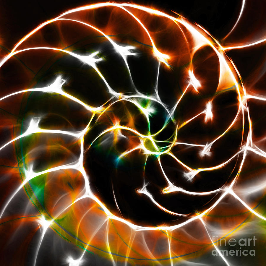 Nautilus Shell Ying and Yang - Electric - v1 - Orange Photograph by Wingsdomain Art and Photography