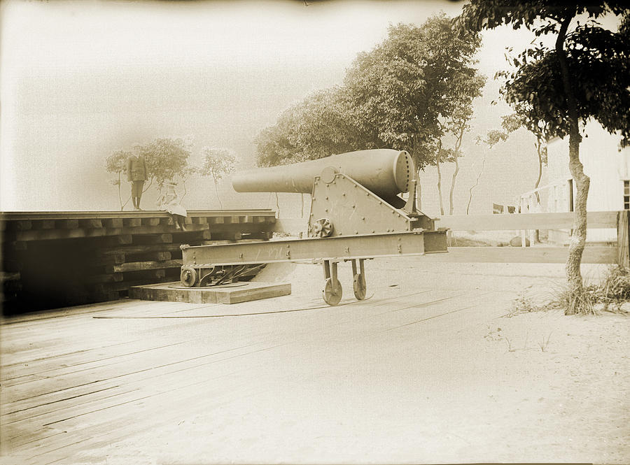 Tree Photograph - Naval Cannon New Haven by Jan W Faul