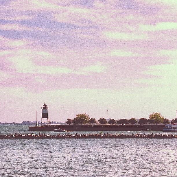 Chicago Photograph - Navy Pier #chicago #purple #sky #water by Nolan Marker