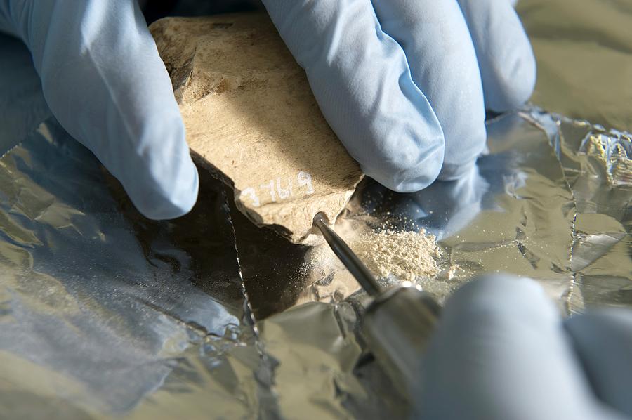 Glove Photograph - Neanderthal Dna Extraction by Volker Steger