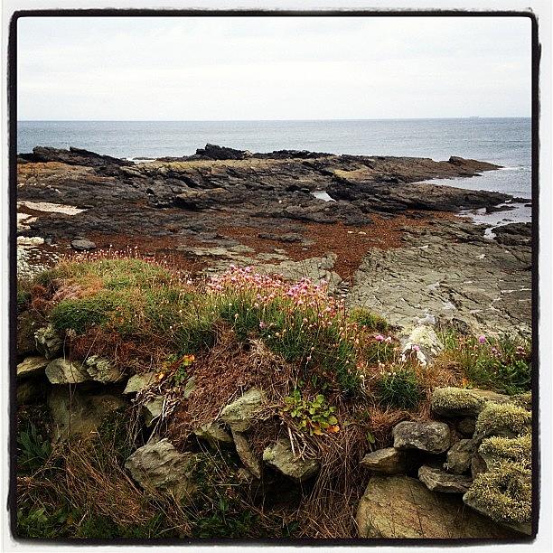 Landscape Photograph - Near Prawle Point #iphoneography by Dave Lee