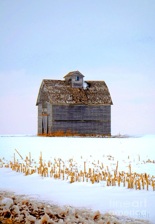 Nebraska Barn in Winter No.2 Photograph by Christine Belt