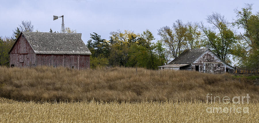 Nebraska Barns Photograph by David Waldrop