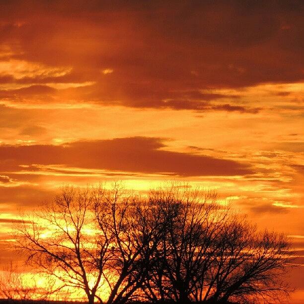 Tree Photograph - Nebraska Sunset by Kelli Stowe