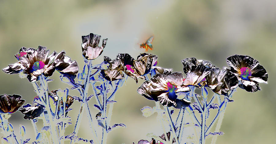 Nature Photograph - Nectar Quest by Nabila Khanam