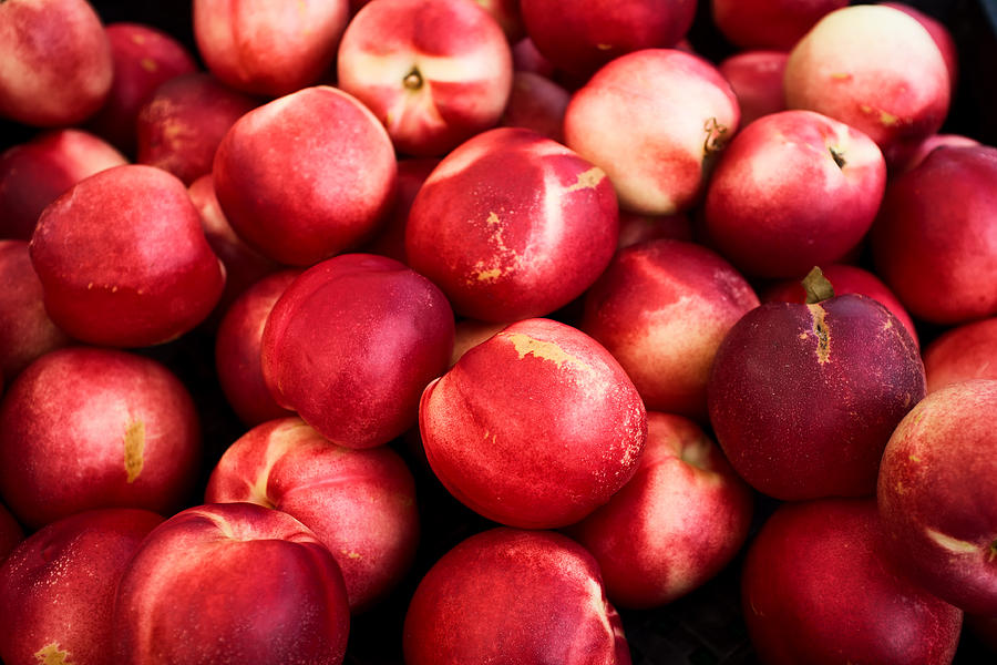 Nectarines Photograph by Tanya Harrison Fine Art America