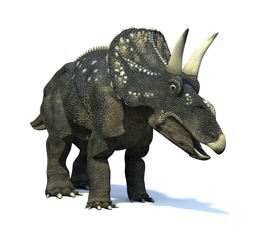 Nedoceratops Dinosaur, Artwork Photograph by Roger Harris