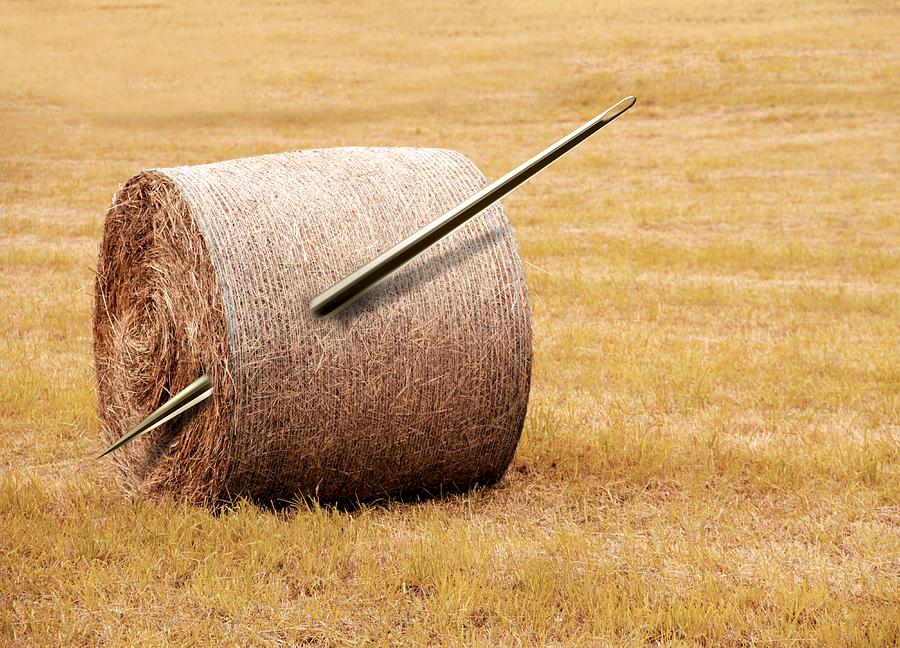 needle-in-a-haystack-conceptual-artwork-