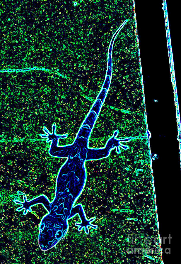 Neon Blue Gecko Photograph - Neon Blue Gecko Fine Art Print