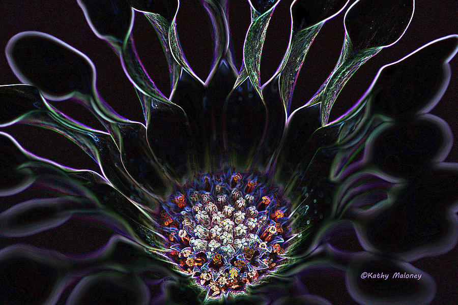 Neon Daisy by Kathy Maloney Neon Daisy by Kathy Maloney