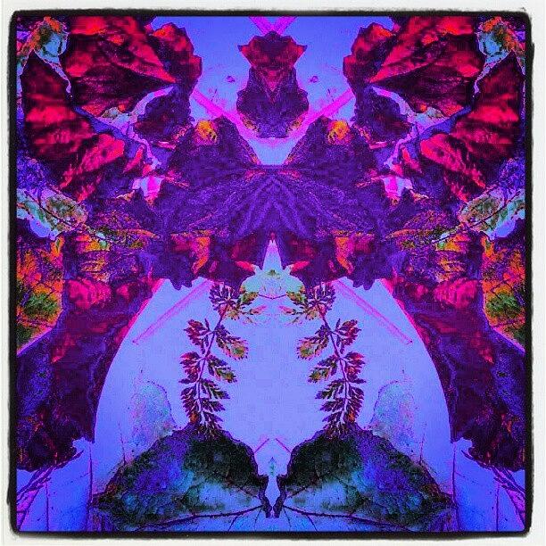 Abstract Photograph - Neon Flamenco Goddess #android by Marianne Dow