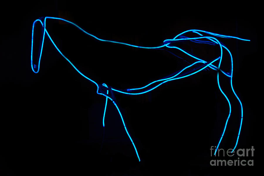 Horse Photograph - Neon Horse by Elena Nosyreva
