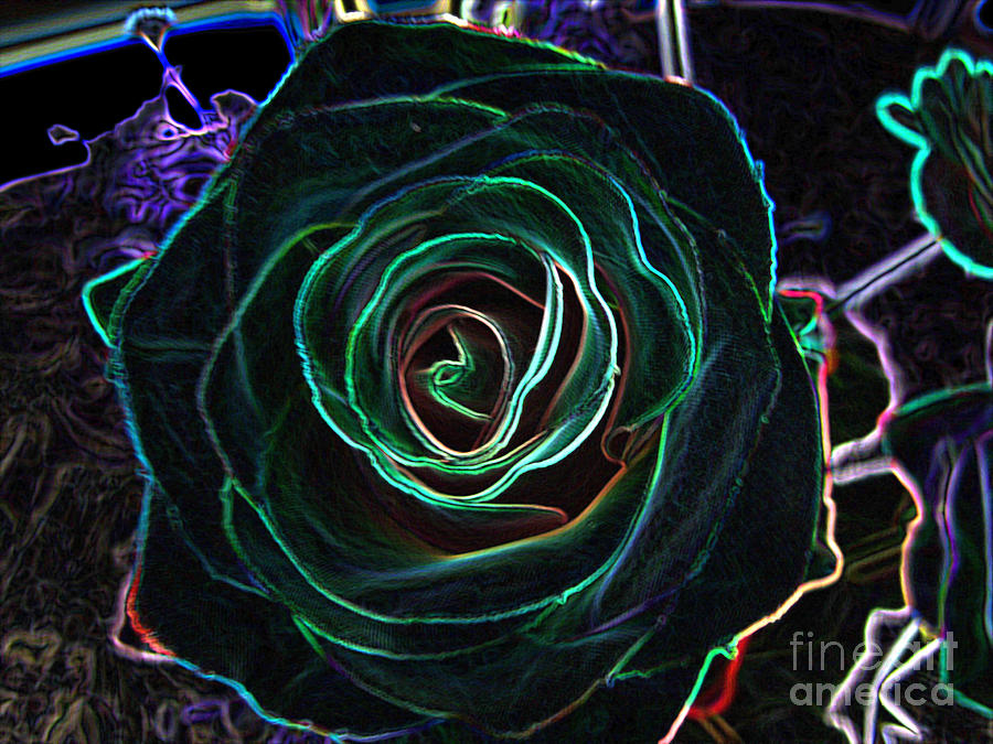 Neon Rose Photograph by Arlene Carmel