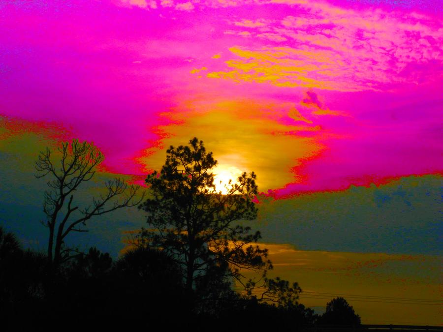Neon Sunset Photograph by Judy Via-Wolff