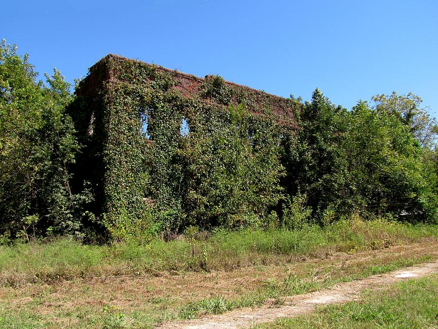 Neosho Falls Ghost Town Photograph by Keith Stokes