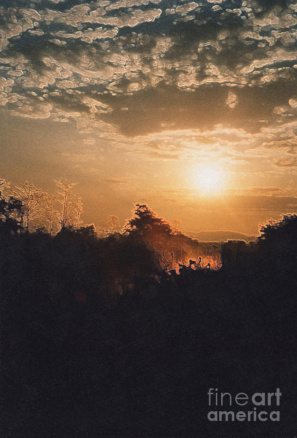 Nepal Jungle Sunrise Photograph by First Star Art