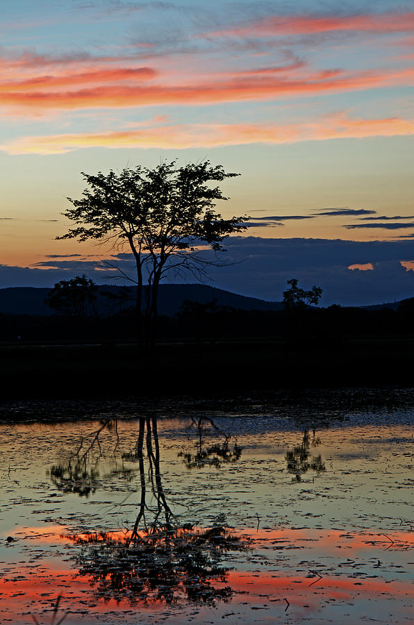 Nerepis Marsh Sunset III Photograph by Jeff Galbraith