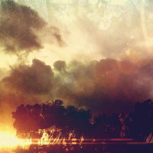 Nature Photograph - nero Fiddled While Rome Burned. by #merek Davis