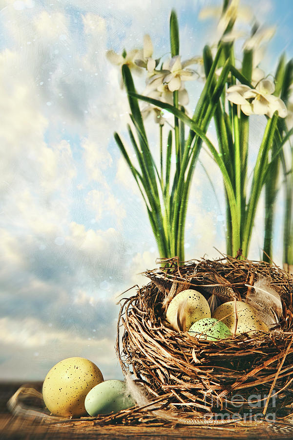 Nest of eggs with flowers for Easter Photograph by Sandra Cunningham