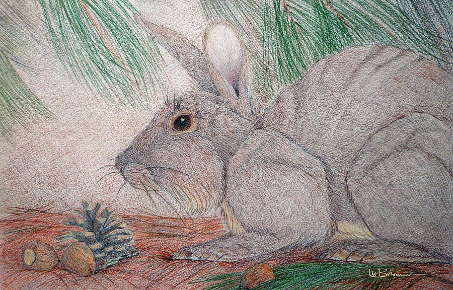 Nestled Beneath the Pines Drawing by Leslie M Browning