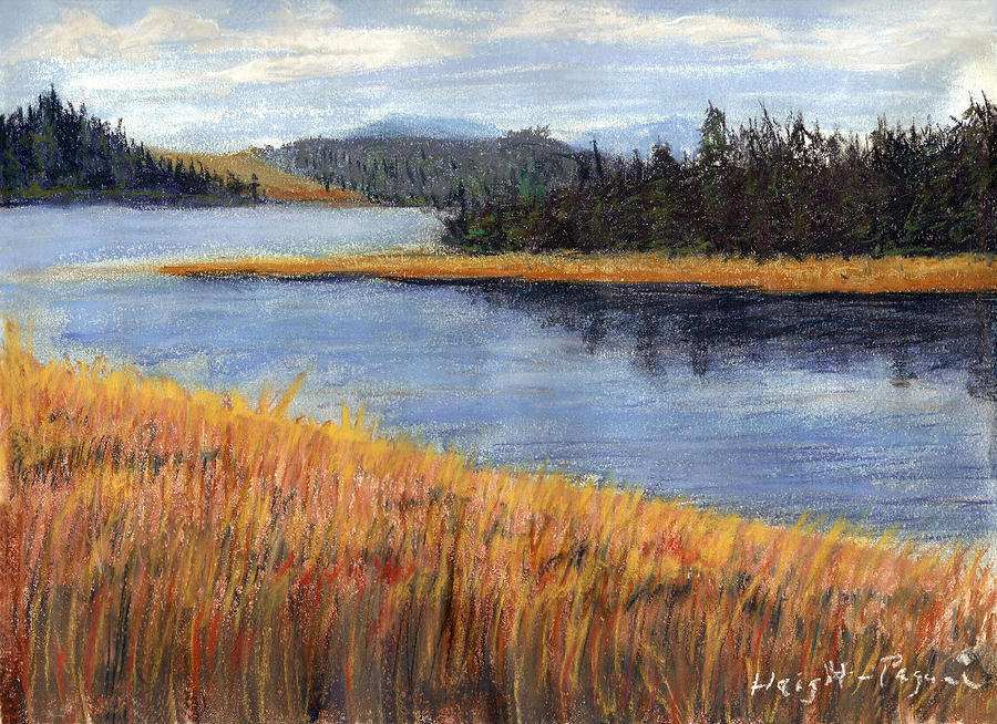 Nestucca River and Bay  Painting by Chriss Pagani
